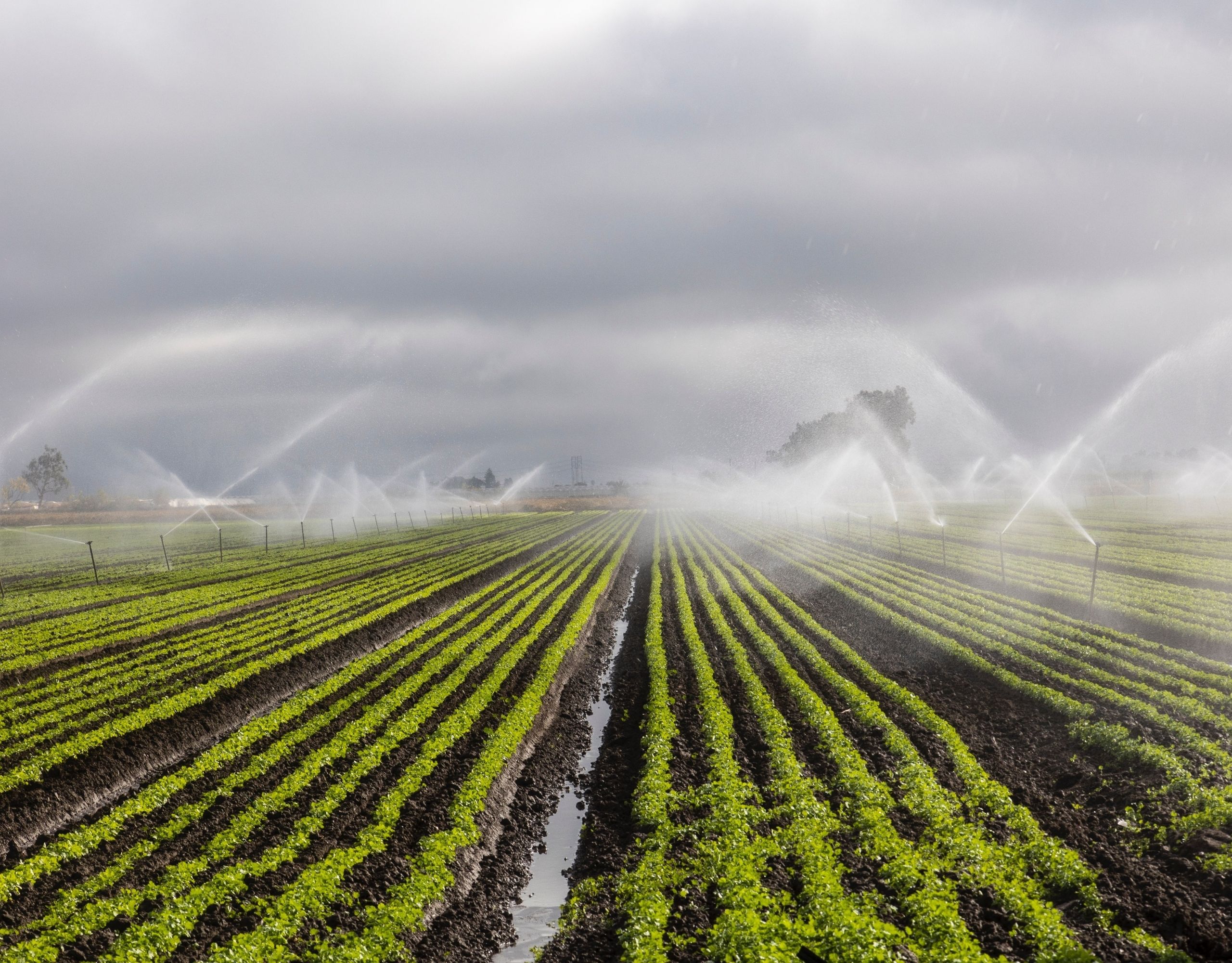 mobile-banner-img- (2)