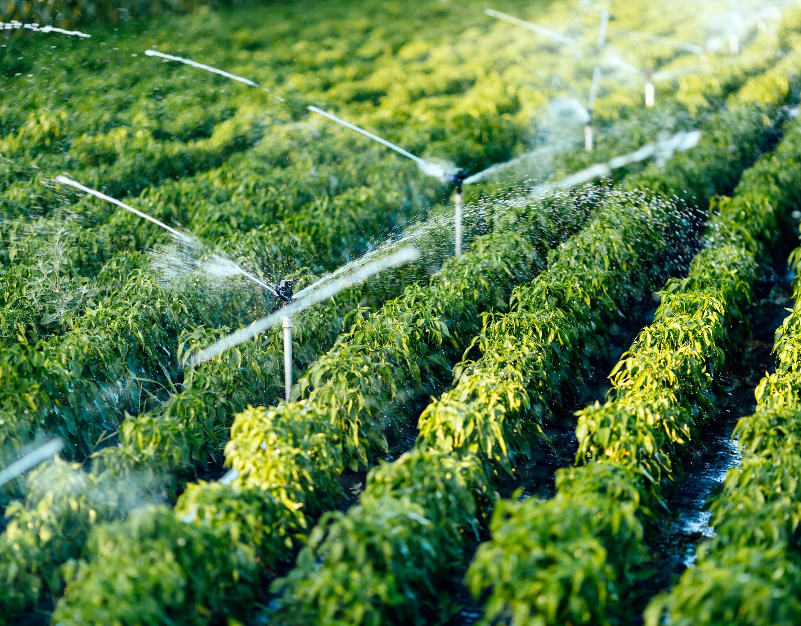 mobile-banner-img- (4)